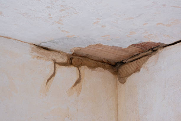  Roanoke, AL Water damage restoration Pros