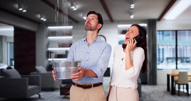 Best Residential water damage restoration  in Roanoke, AL