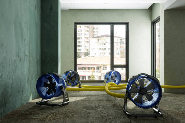 Water damage restoration process in Roanoke, AL