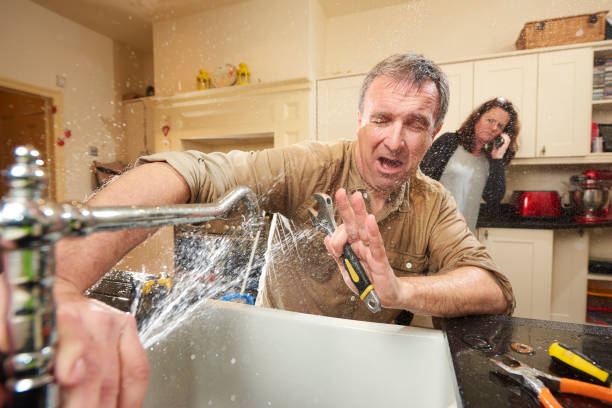 Best Water damage repair service  in Roanoke, AL